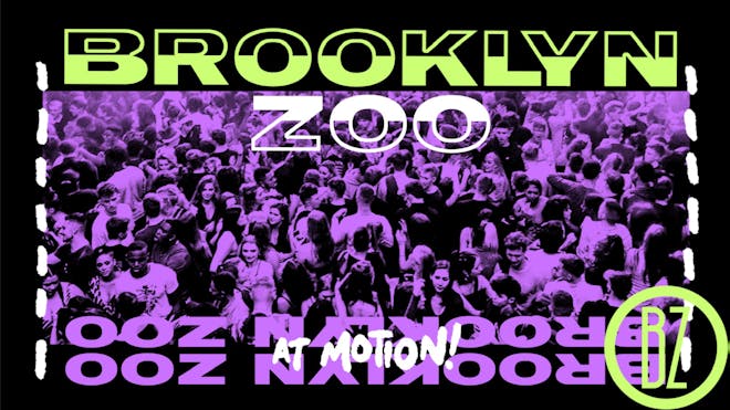 Brooklyn Zoo UK