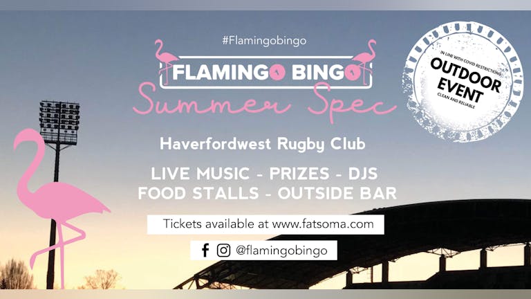 Flamingo Bingo Haverfordwest Summer Spec!