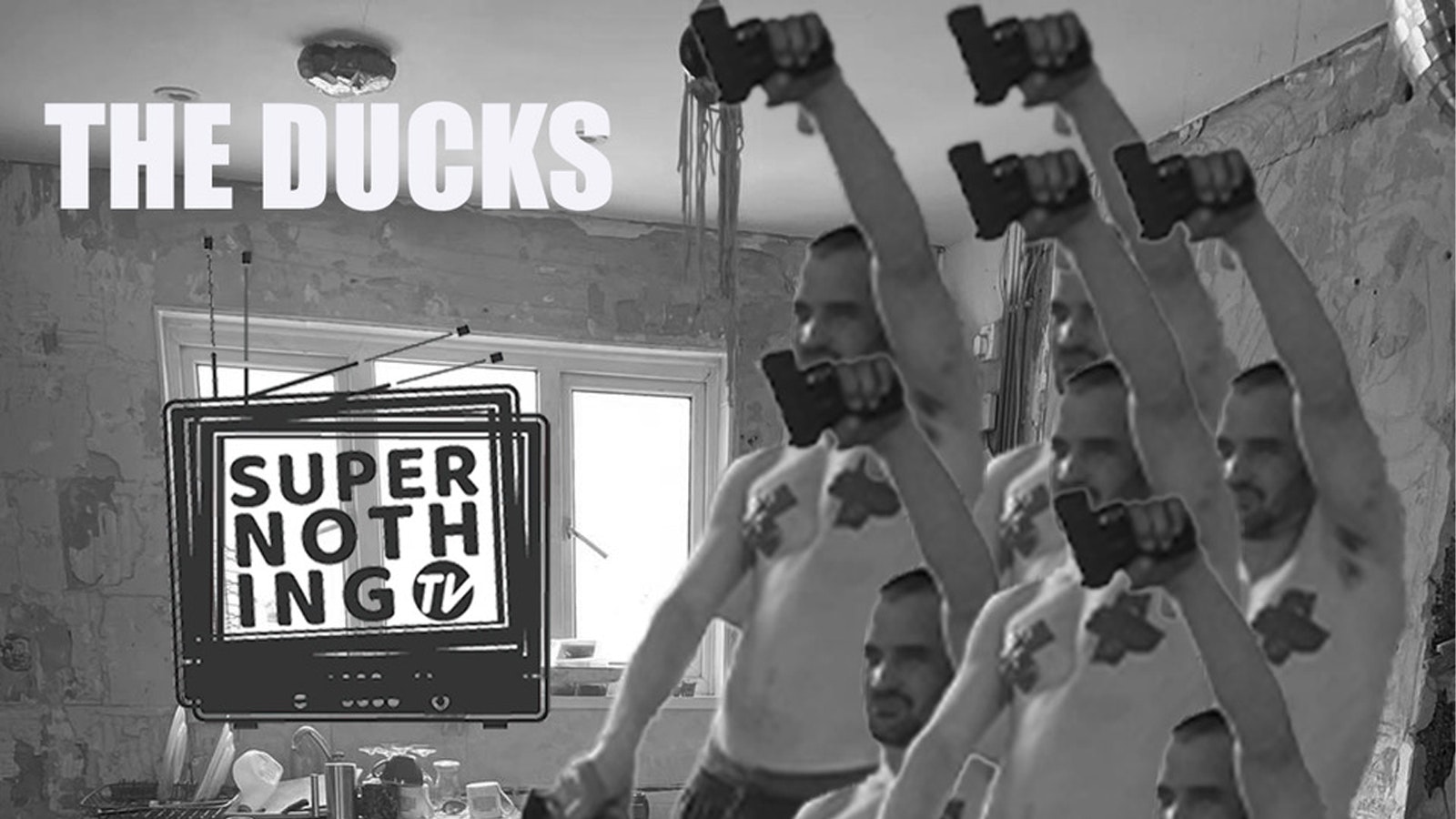The Ducks Will Fxck You – Online Livestream