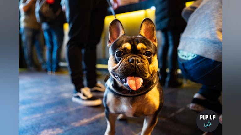 Frenchie Pup Up Cafe - York