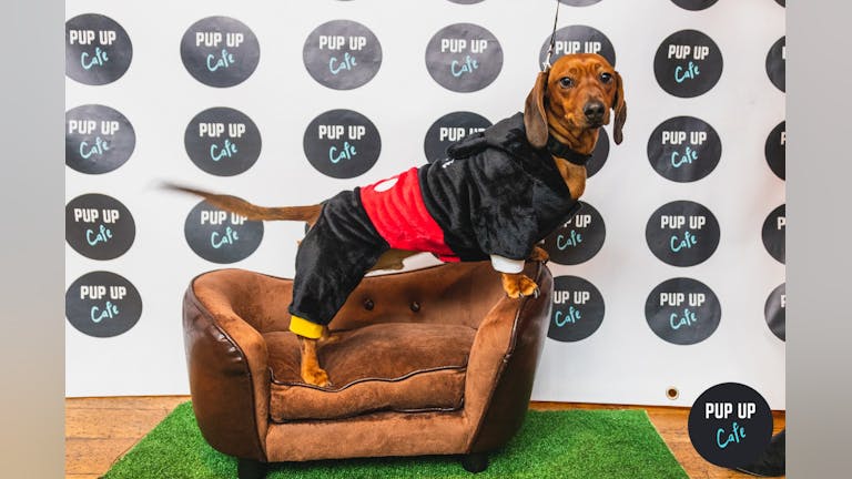 Dachshund Pup Up Cafe - High Wycombe