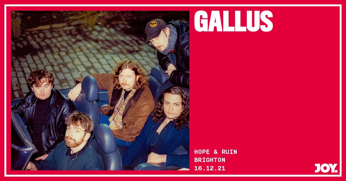 Gallus