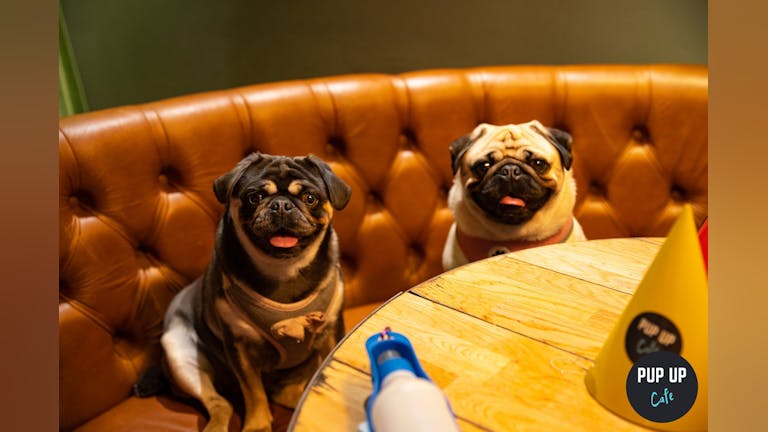 Pug Pup Up Cafe - High Wycombe