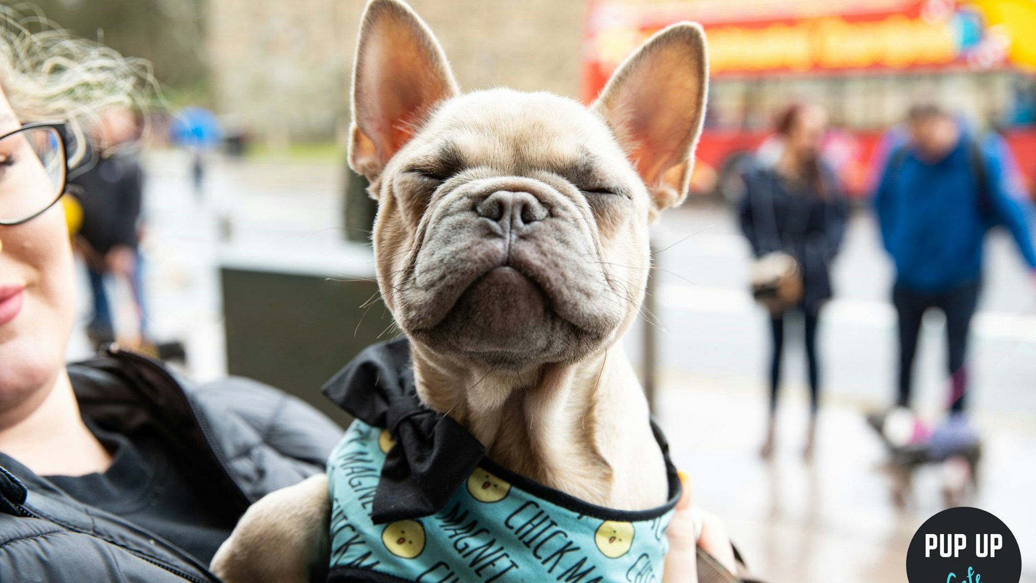 Frenchie Pup Up Cafe – High Wycombe