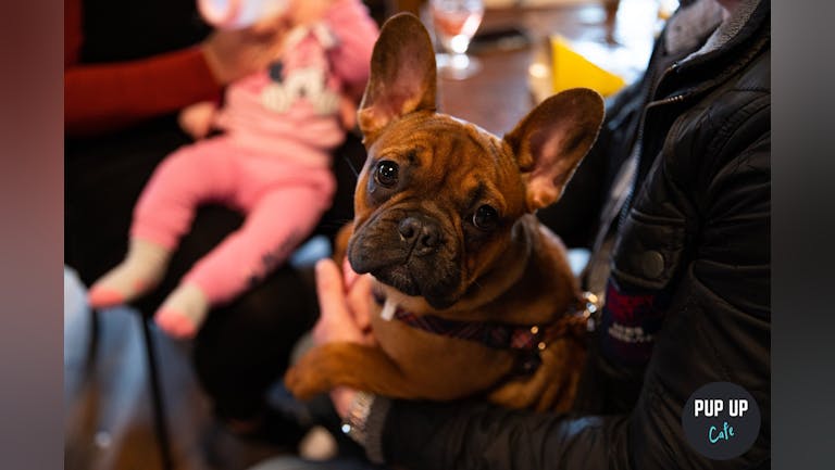 Frenchie Pup Up Cafe - Leeds