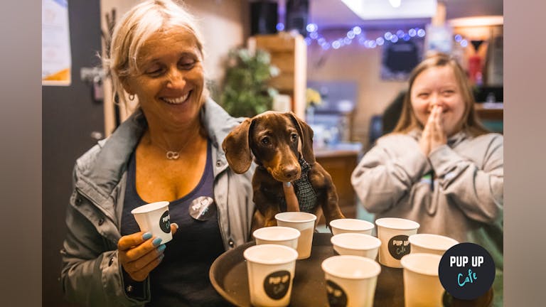 Dachshund Pup Up Cafe - Liverpool
