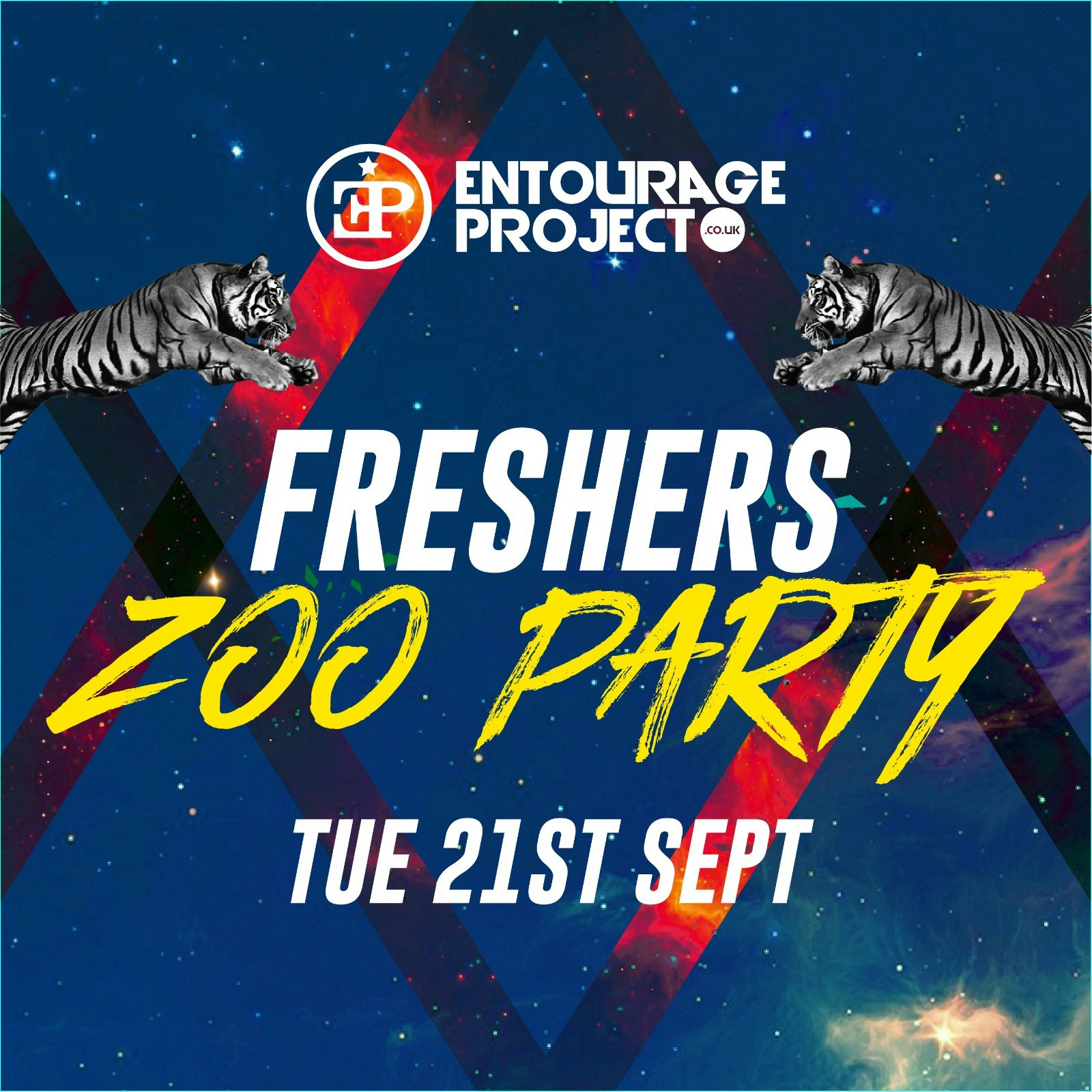 Zoo Party – LOLA LO (SOLD OUT)