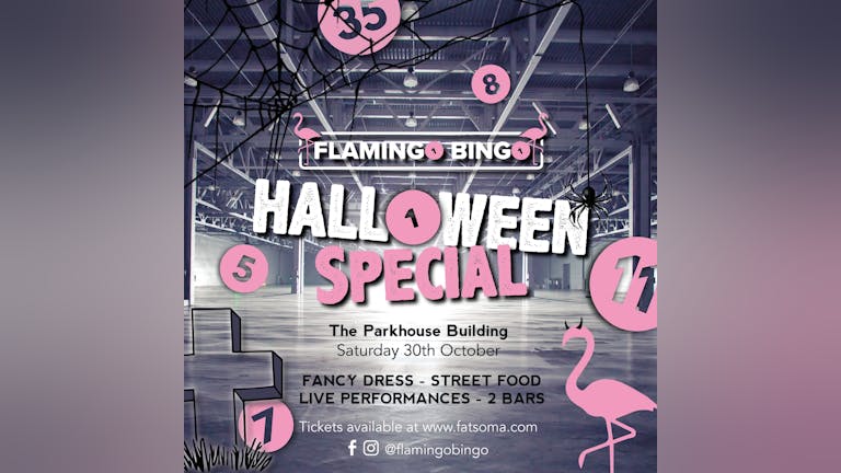 Flamingo Bingo Halloween Special!