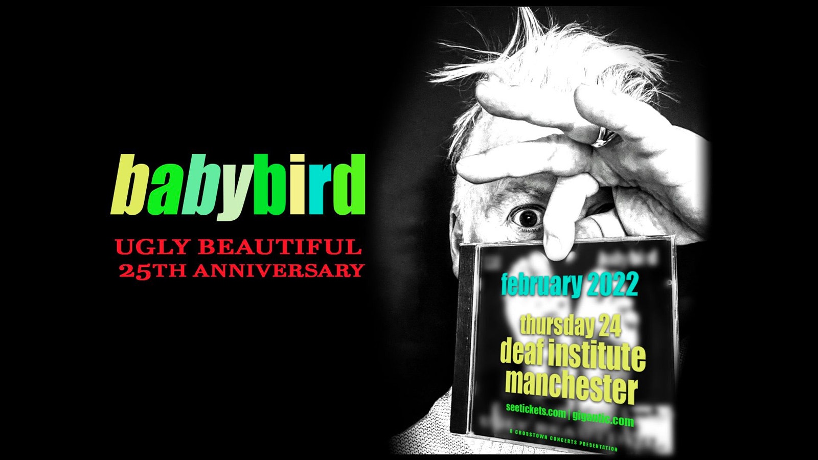 Babybird – Ugly Beautiful 25TH Anniversary﻿
