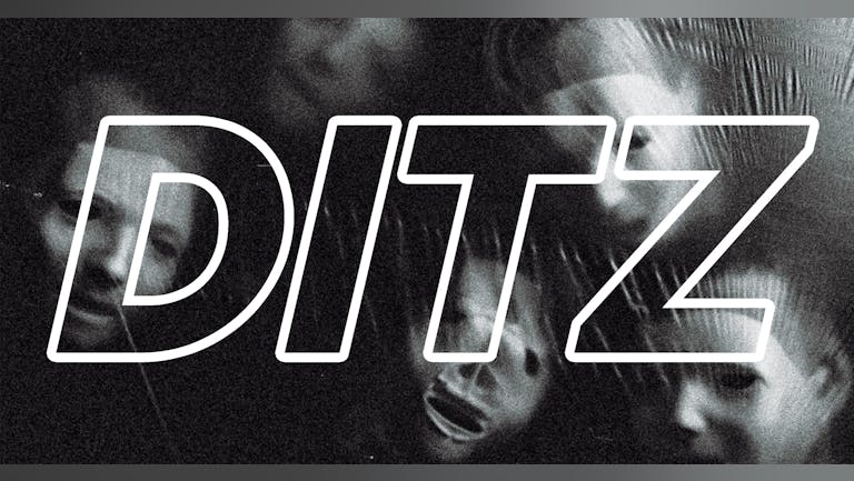 DITZ | Independent, Sunderland