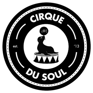 Cirque Du Soul 