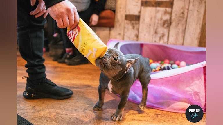 Frenchie Pup Up Cafe - Bristol