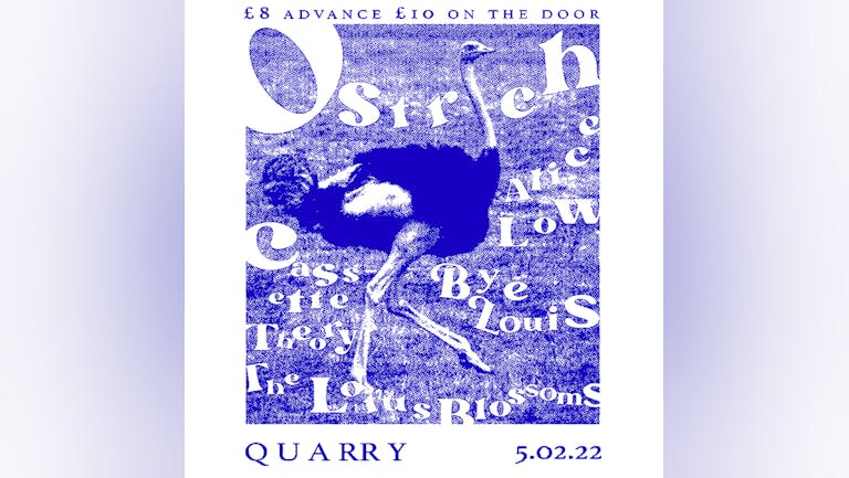 Ostrich w/Alice Low, Bye Louis, Cassette Theory & The Lotus Blossoms
