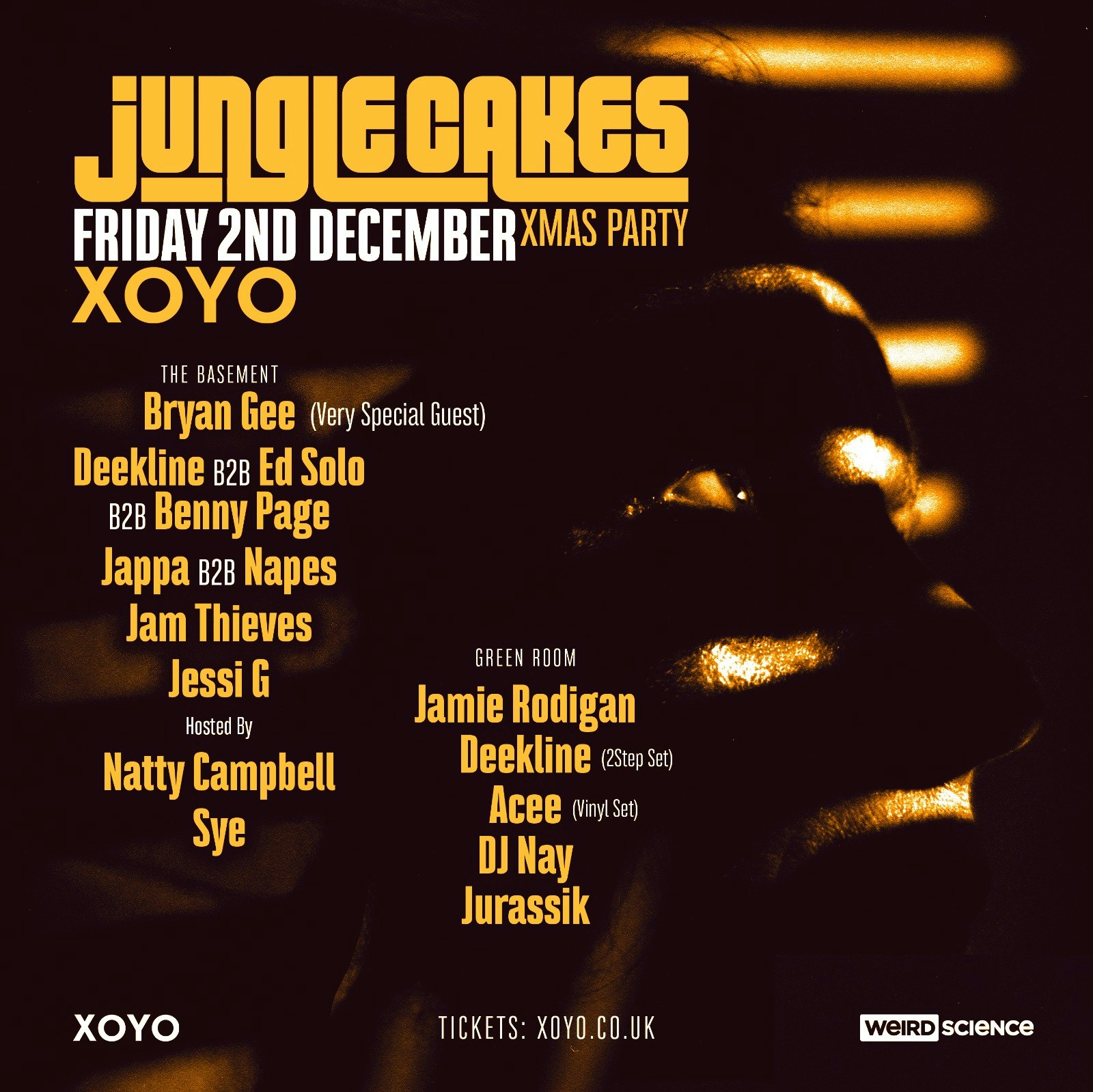 Jungle Cakes Xmas Party