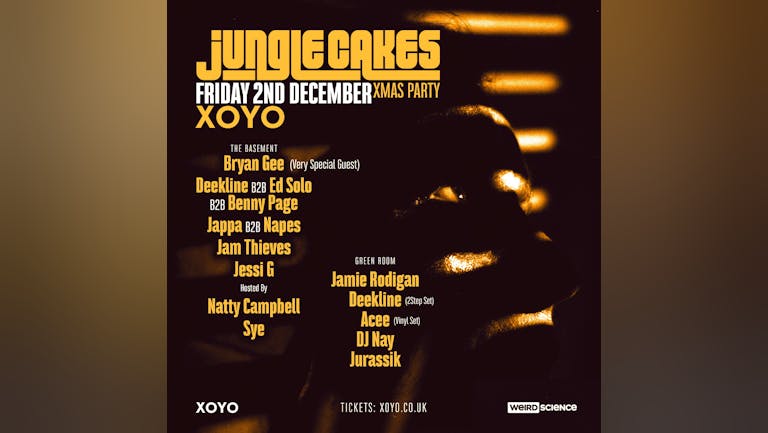 Jungle Cakes Xmas Party