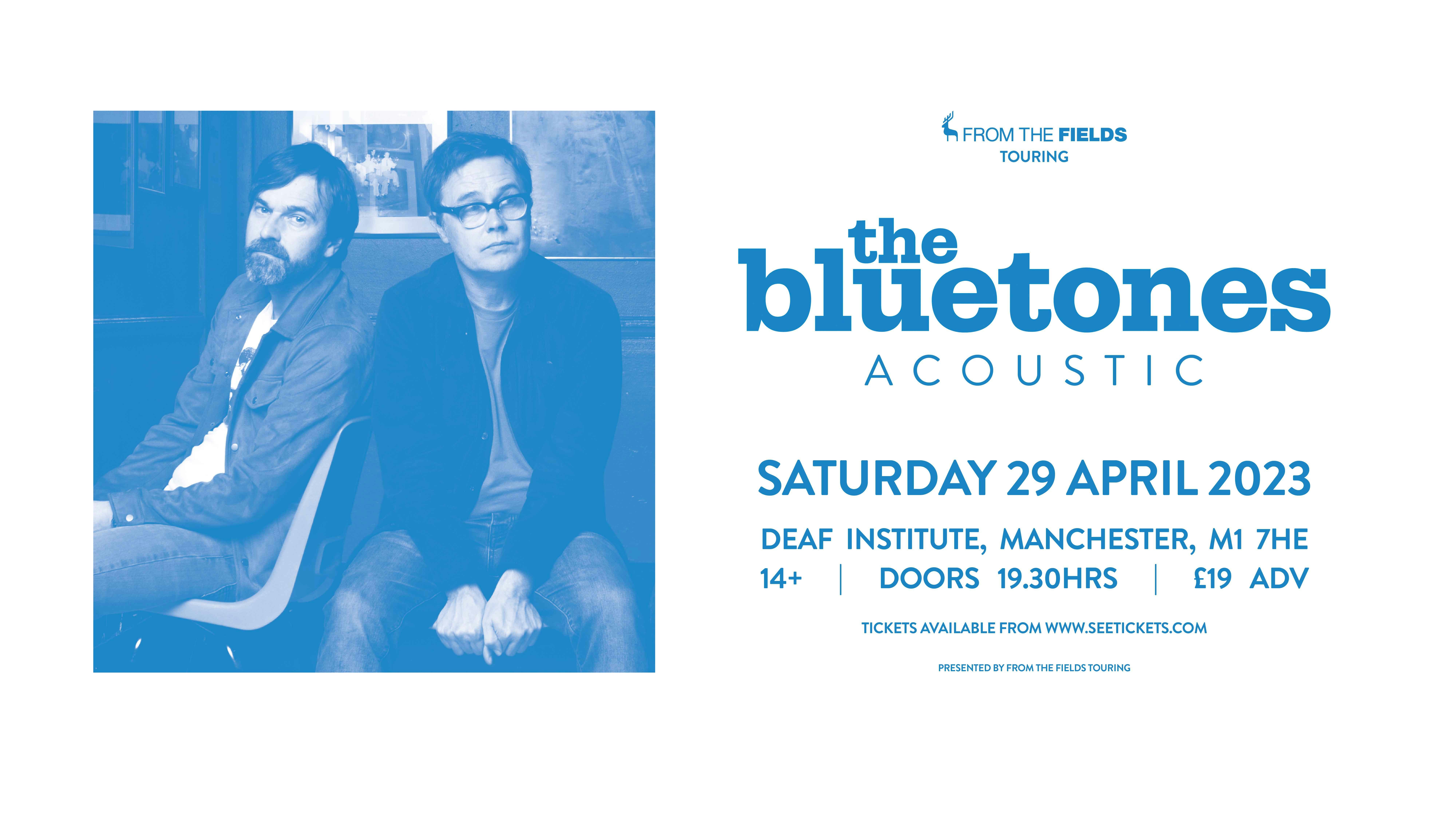 The Bluetones Acoustic