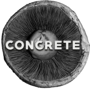 Concrete.