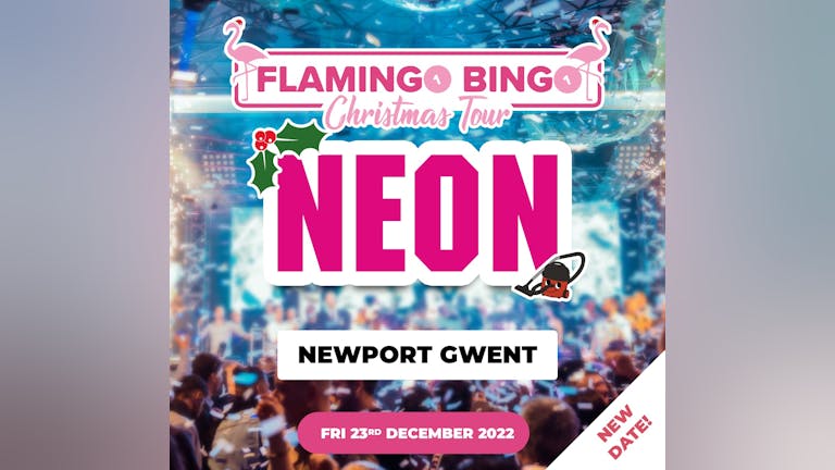 Flamingo Bingo Christmas tour - The Neon Newport 