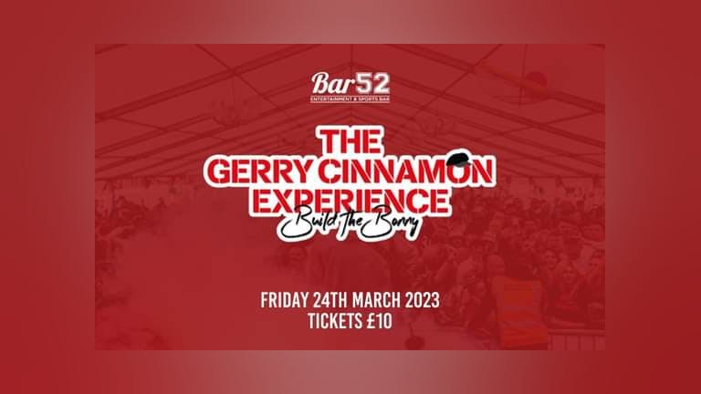 Gerry Cinnamon Tribute Experience 