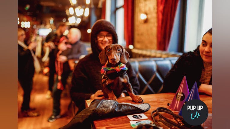 Dachshund Pup Up Cafe - Manchester