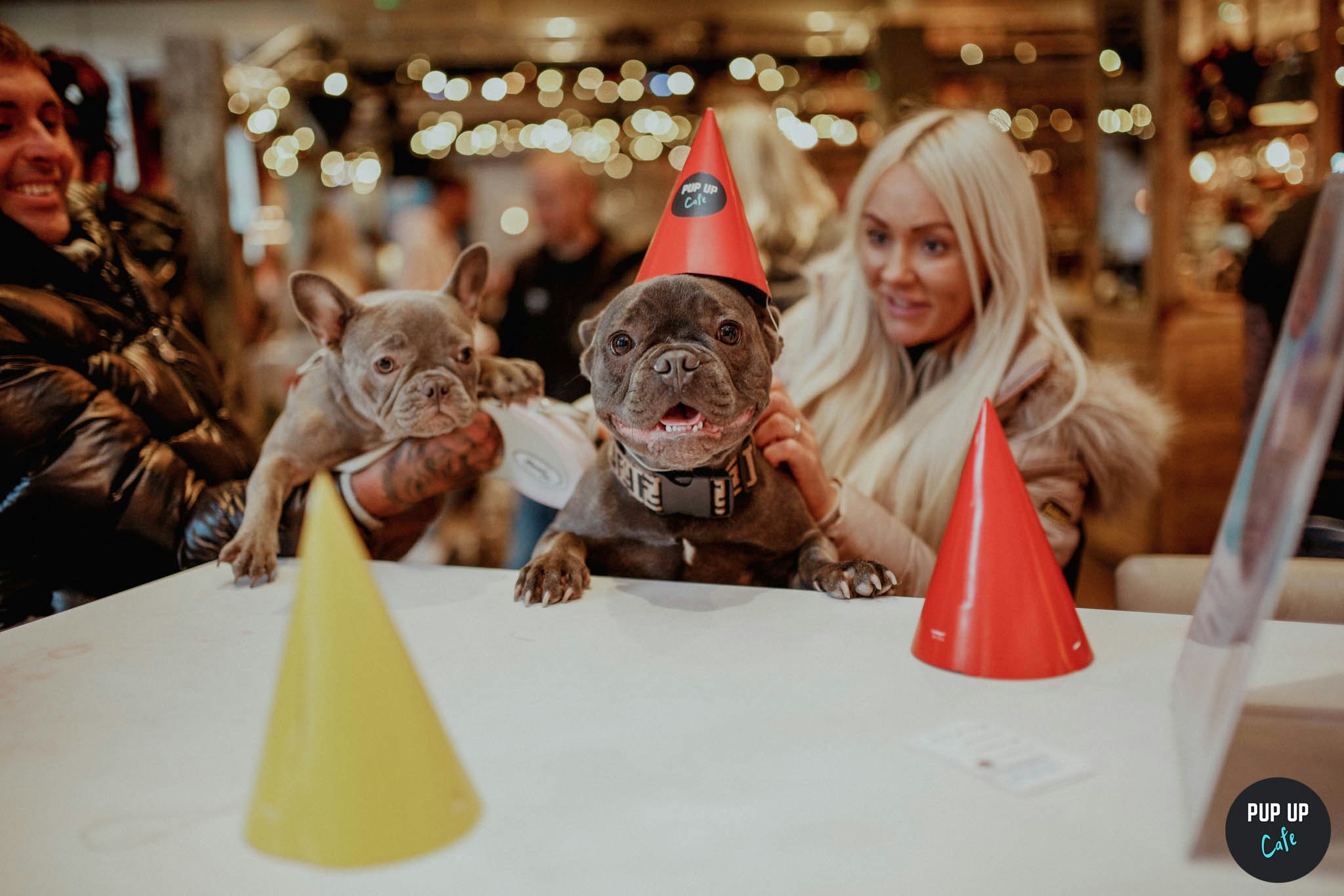 Frenchie Pup Up Cafe – Wycombe