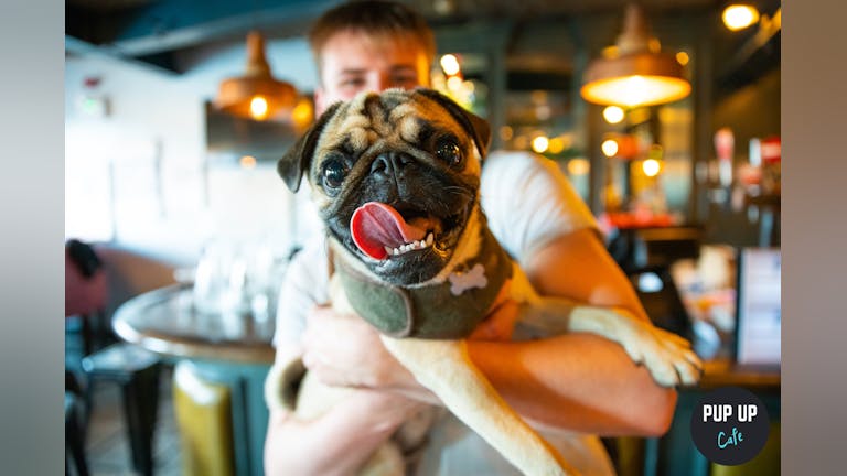 Pug Pup Up Cafe - Harrogate