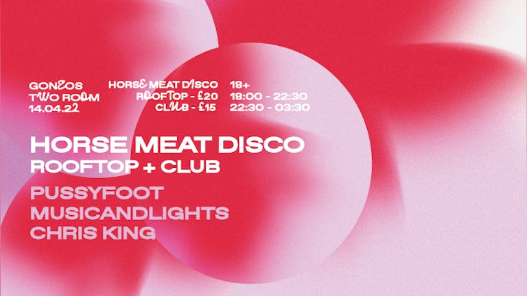 Horse Meat Disco - Rooftop 