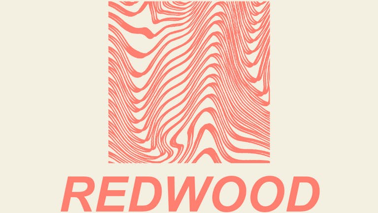 Redwood + The Death Of Us + Windowhead // The Prince Albert, Brighton