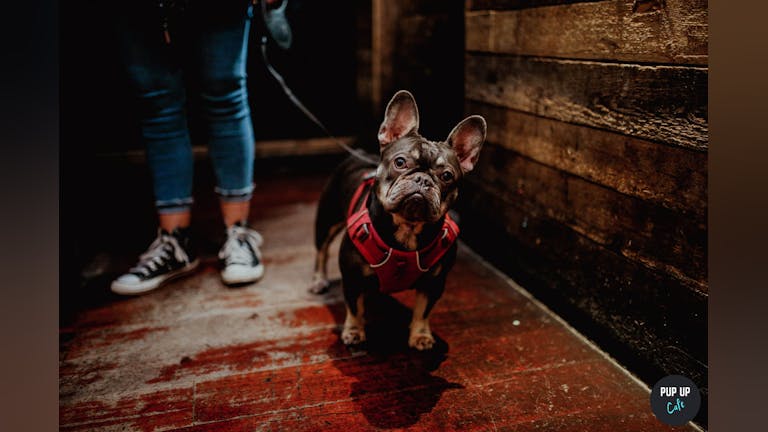 Frenchie Pup Up Cafe - Sheffield