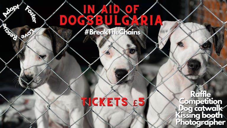 dogsBulgaria - Charity fundraiser #BreakTheChains