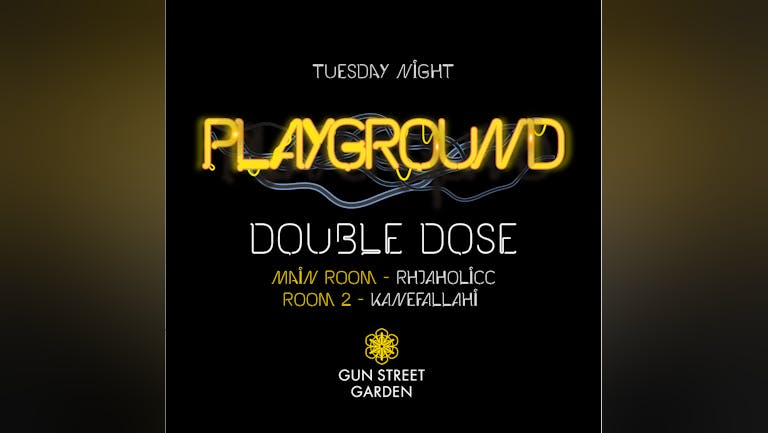 Playground Double Dose