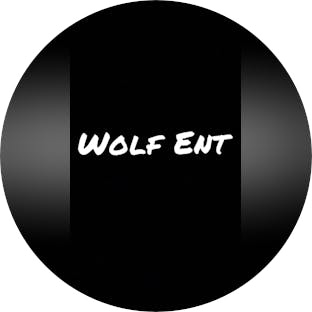  WOLF ENT