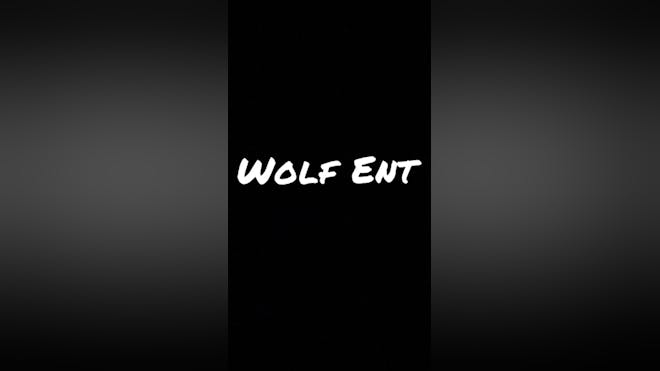  WOLF ENT