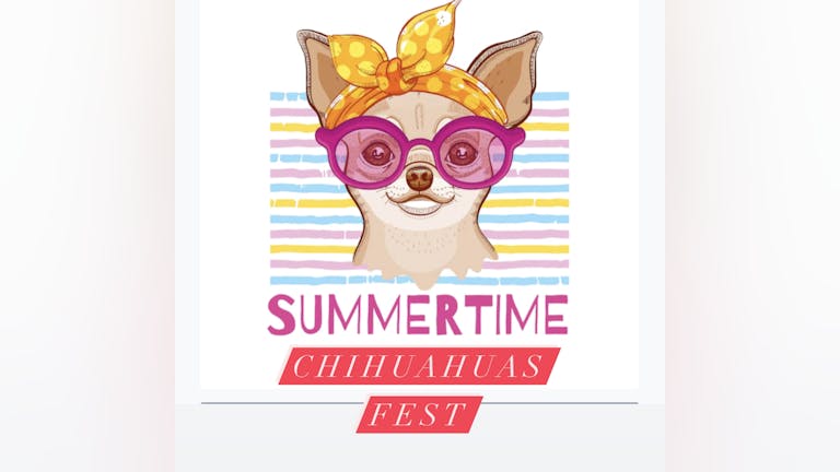 Summertime chihuahuas fest