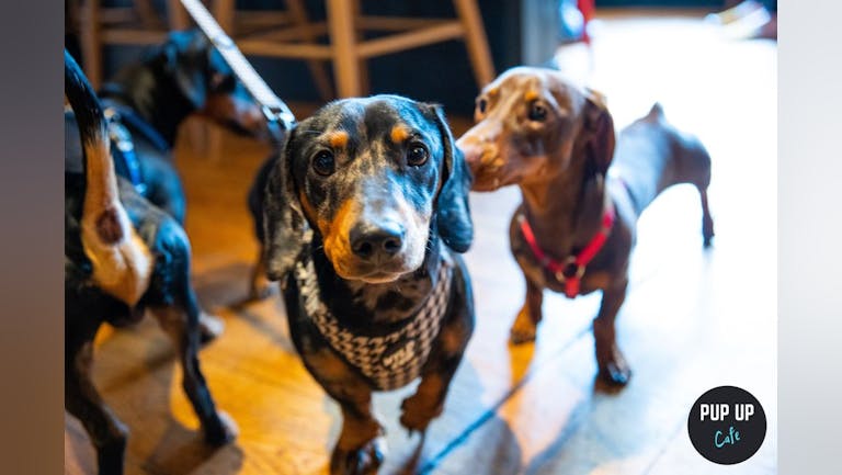 Dachshund Pup Up Cafe - London