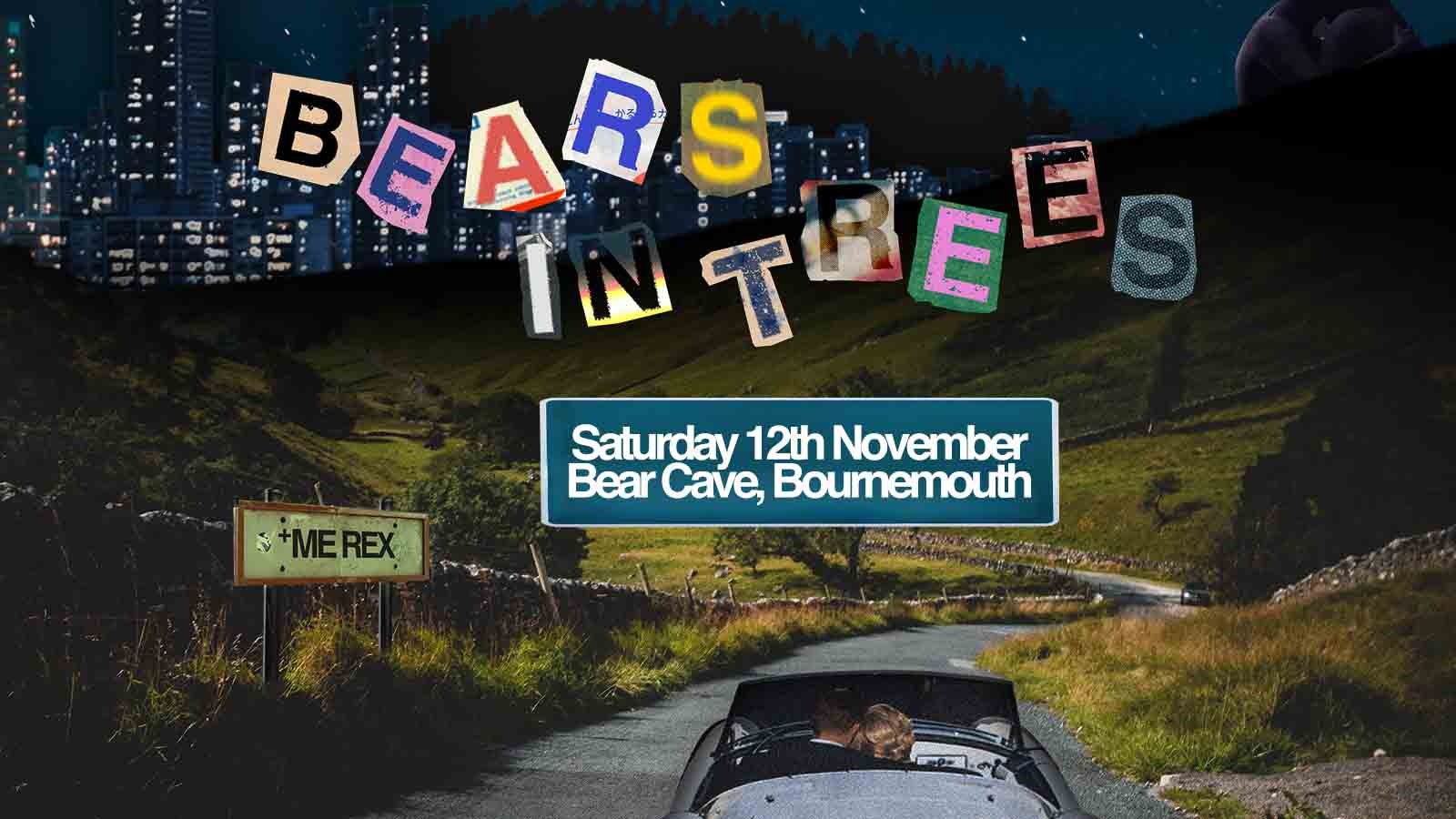 Bears In Trees at Bear Cave, Bournemouth