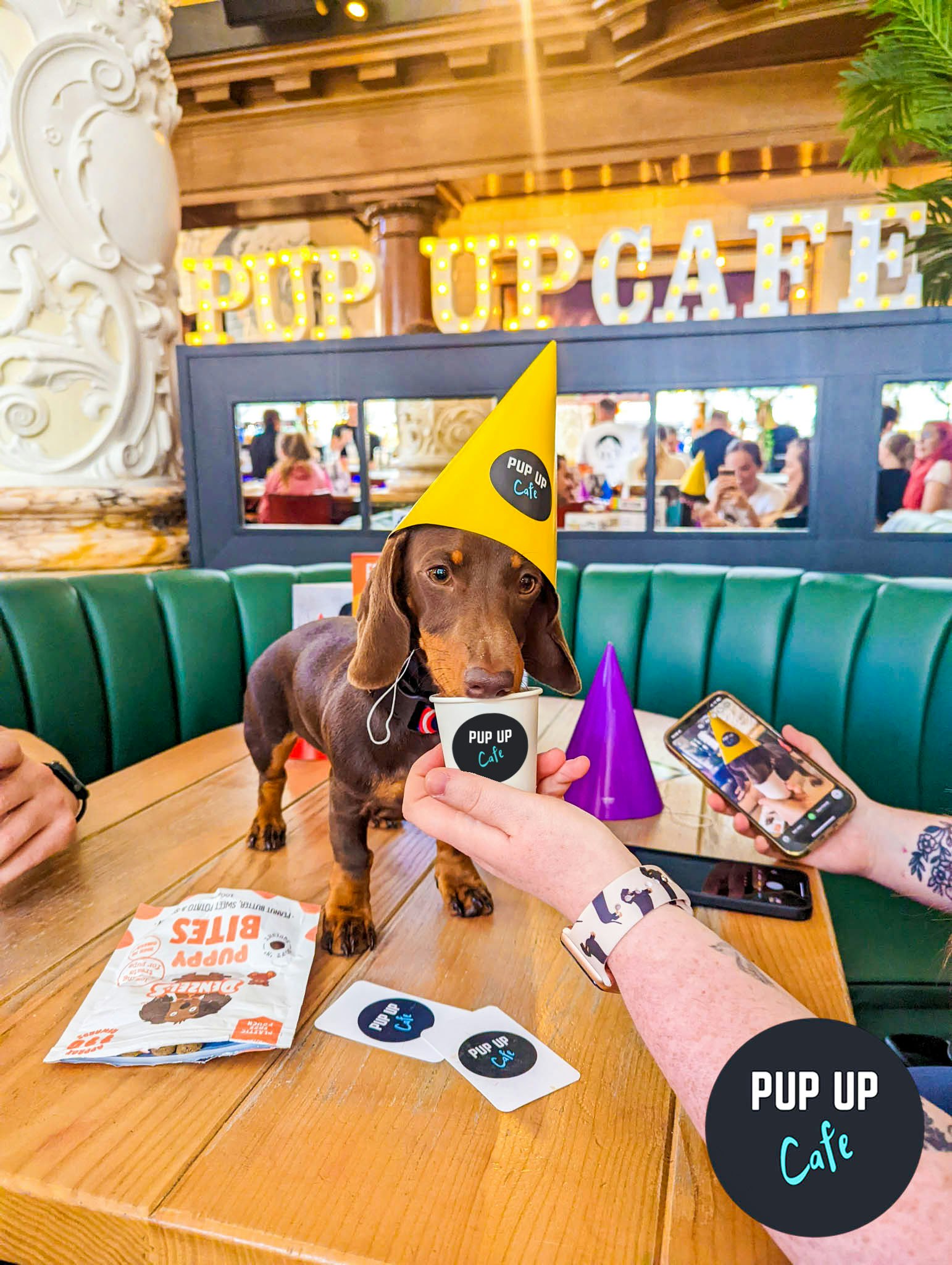 Dachshund Pup Up Cafe – Manchester