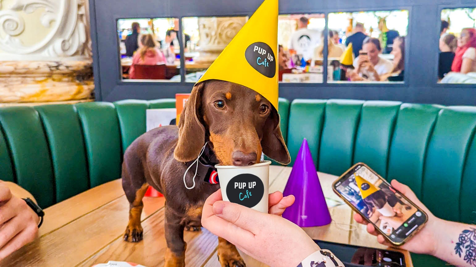 Dachshund Pup Up Cafe – Manchester