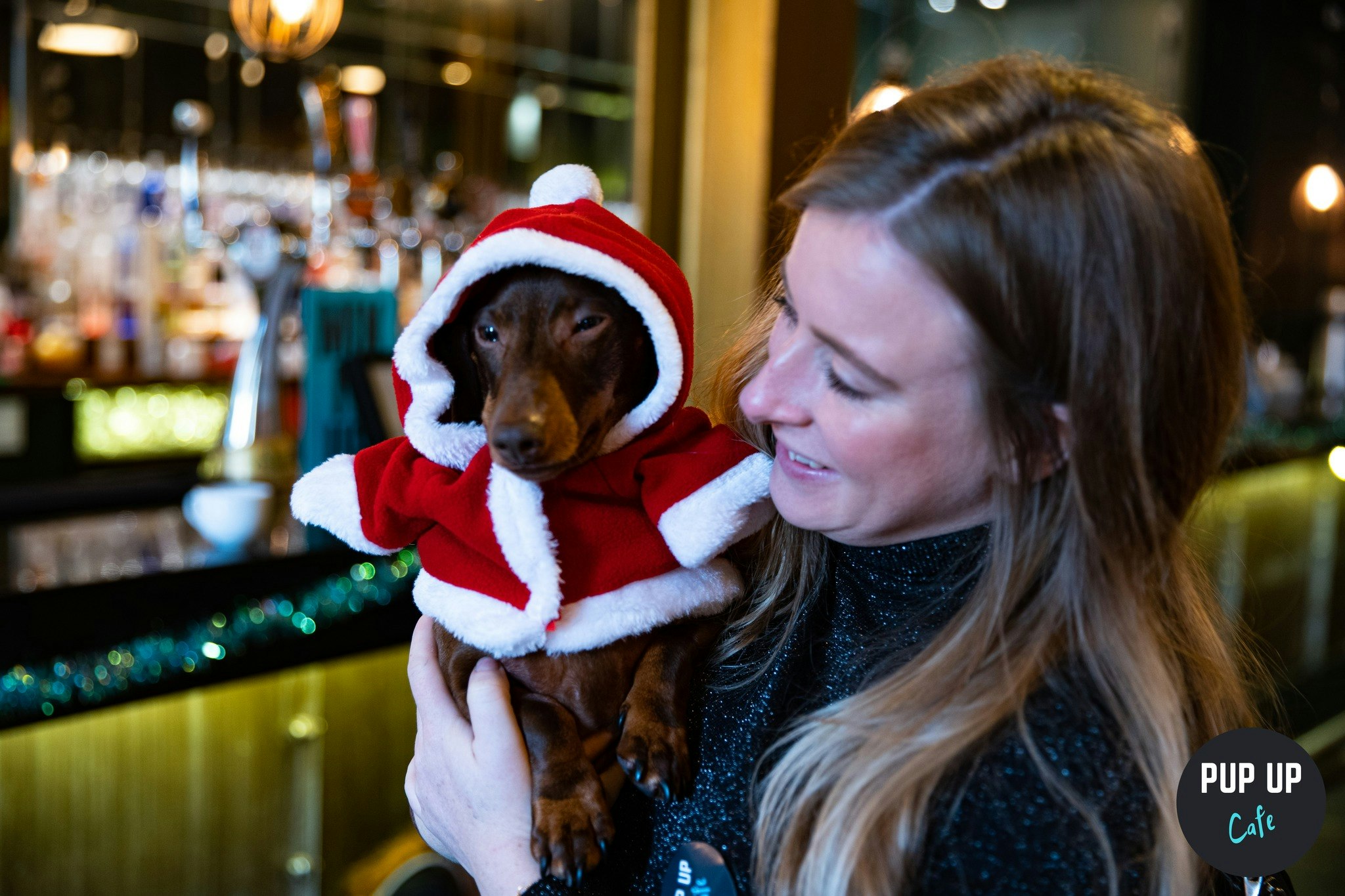 Glasgow – Dachshund Christmas Tour 🤶🎄🎅