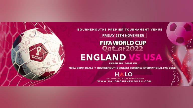 World Cup 2022: England V USA