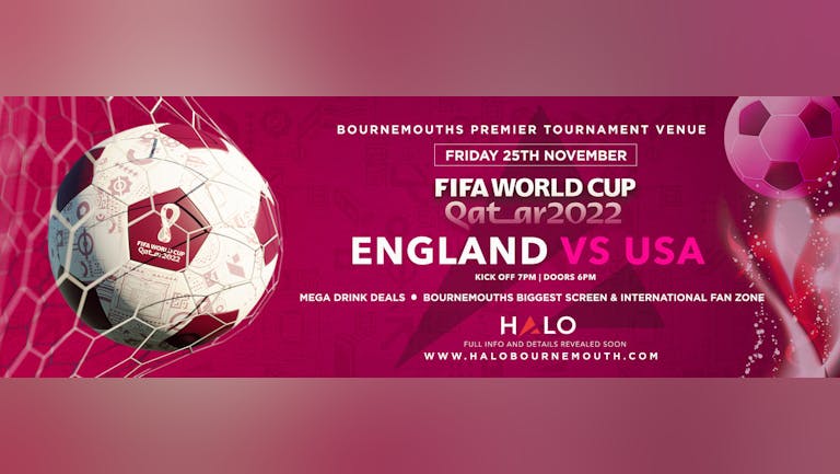 World Cup 2022: England V USA