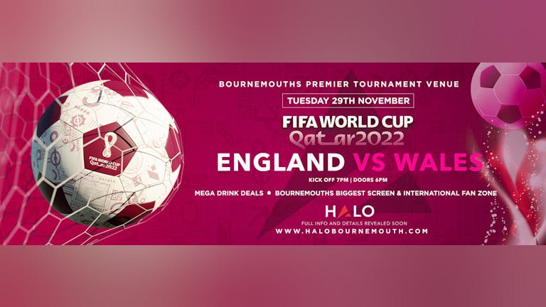 World Cup 2022: England V WALES