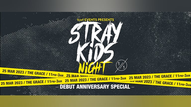 STRAY KIDS NIGHT - Debut Special