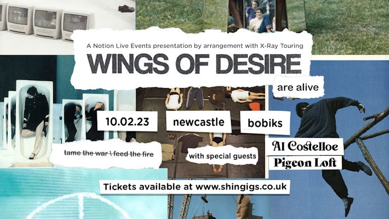 Wings of Desire + Al Costelloe & Pigeon Loft