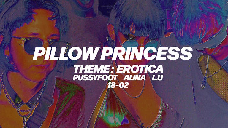 Pillow Princess 5 - Erotica 