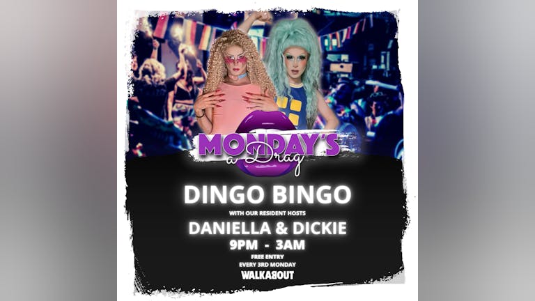 Monday's A Drag - Dingo Bingo