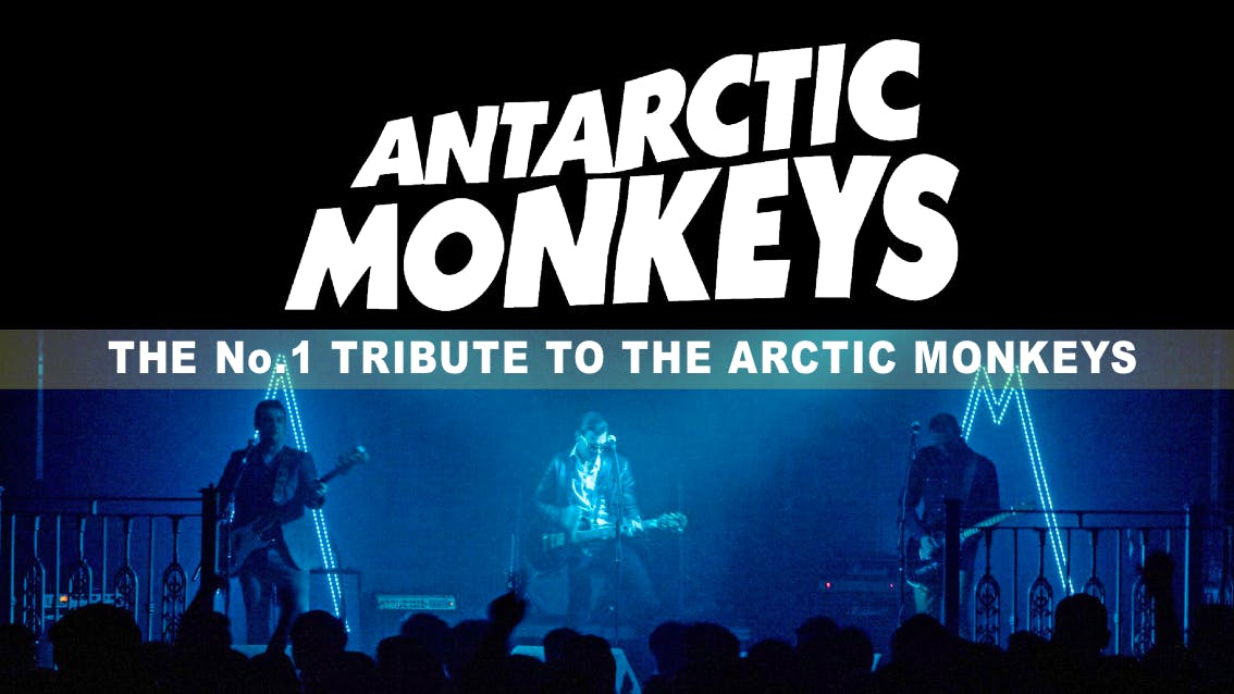 The best Arctic Monkeys songs