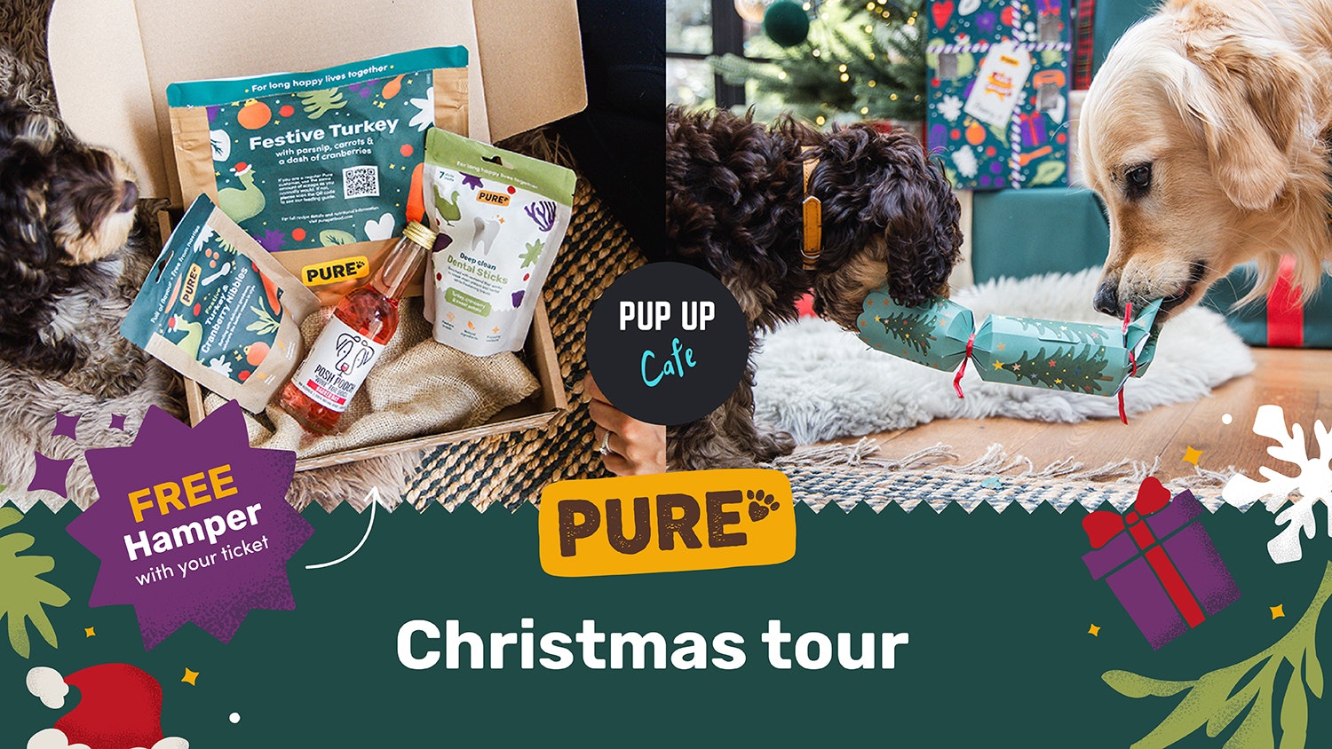 Pure Christmas Tour: Beaconsfield, All Paws Welcome! 🎄