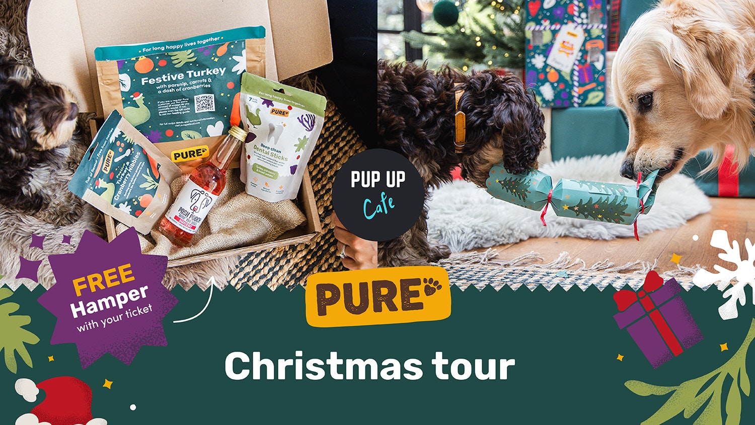Pure Christmas Tour: Edinburgh, All Paws Welcome! 🎄