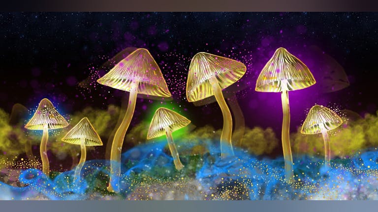 Seed Talks: The Science of Psychedelics (18+) 